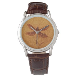 Fossil Dragonfly