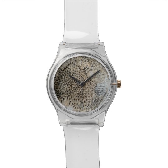watch face fossil