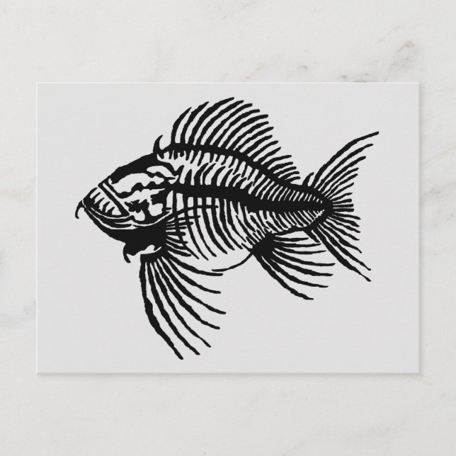 Fossil Fish Postcard (Front)