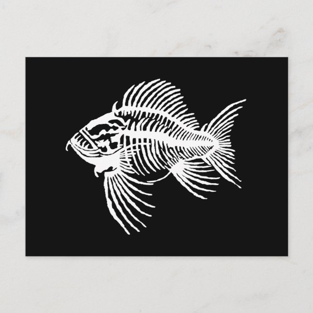 Fossil Fish Postcard (Front)