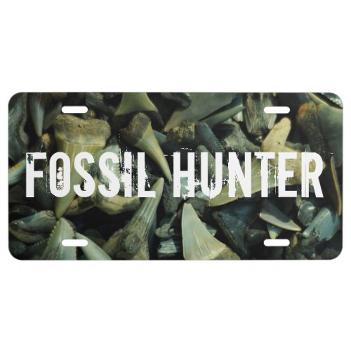 Fossil Hunter Shark Teeth Plate