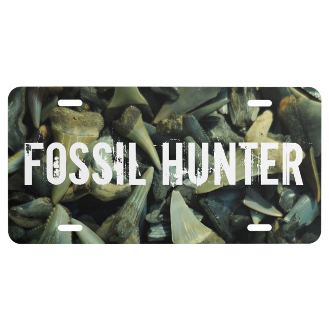Fossil Hunter Shark Teeth Plate (Front)