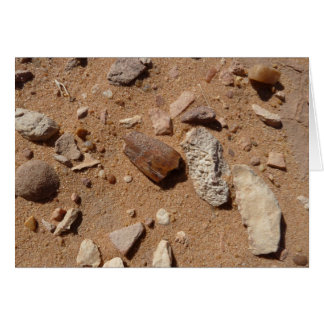 Fossil in the dessert cards