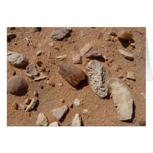 Fossil in the dessert cards (Front Horizontal)