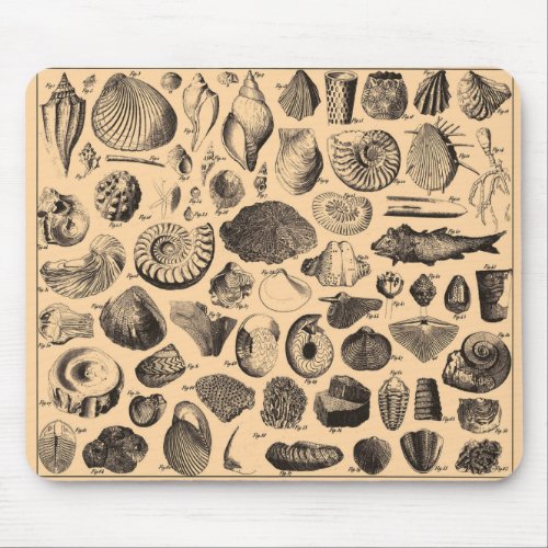 Fossil Mousepad