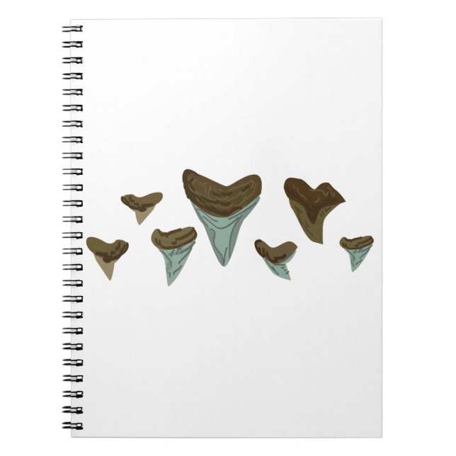 Fossil Shark Teeth Notebook (Front)