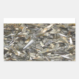 Fossil shark teeth pattern rectangular sticker
