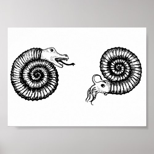 Fossil Snakestone or Ammonite Poster