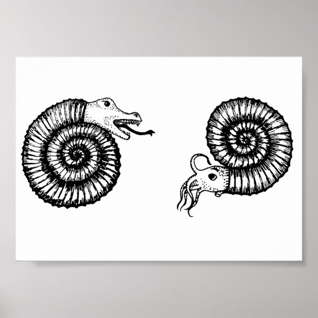 Fossil: Snakestone or Ammonite? Poster (Front)