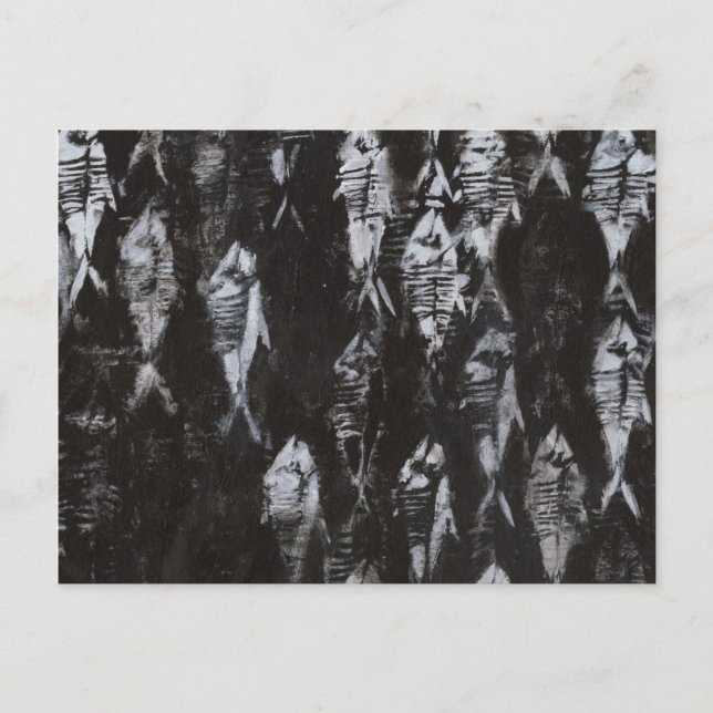 Fossil White Fish on Black Background Postcard (Front)