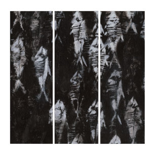 Fossil White Fish on Black Background Triptych