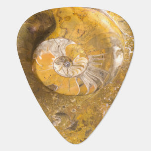 Fossilized Ammonite in Polished Rock Photo Guitar Pick