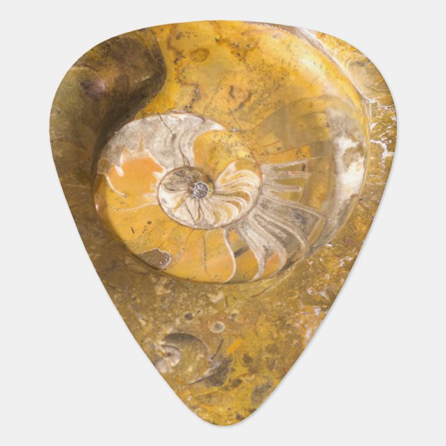 Fossilized Ammonite in Polished Rock Photo Guitar Pick (Front)
