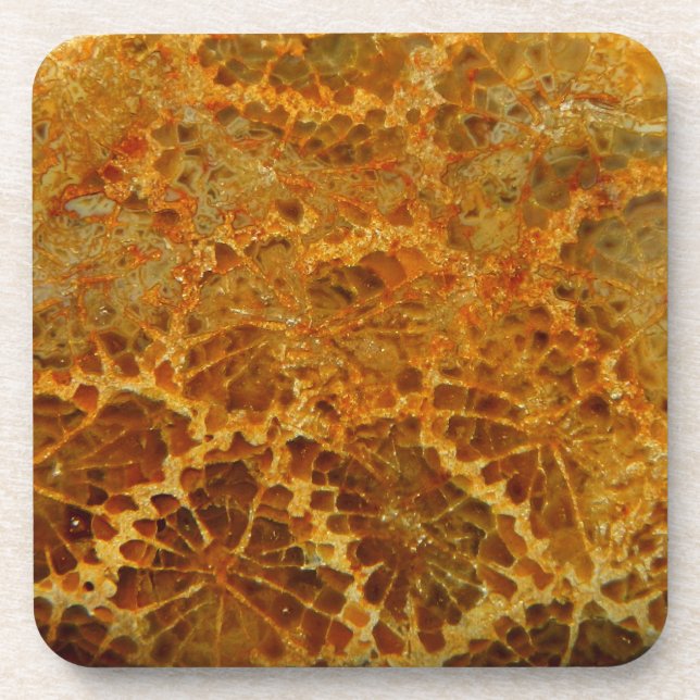 Fossilized coral natural jasper gemstone beverage coaster (Front)