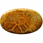 Fossilized coral natural jasper gemstone cutout<br><div class="desc">Original - by YANKAdesigns!</div>