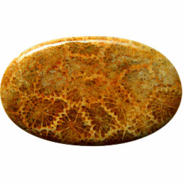 Fossilized coral natural jasper gemstone cutout