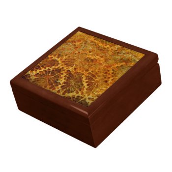 Fossilized Coral Natural Jasper Gemstone Jewelry Box by YANKAdesigns at Zazzle