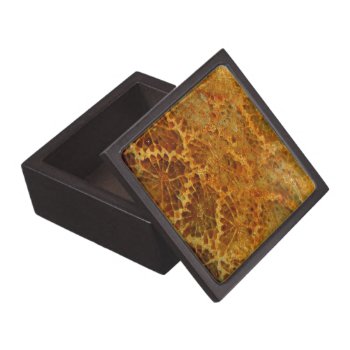 Fossilized Coral Natural Jasper Gemstone Jewelry Box by YANKAdesigns at Zazzle