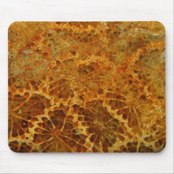 Fossilized Coral Natural Jasper Gemstone Mouse Pad by YANKAdesigns at Zazzle