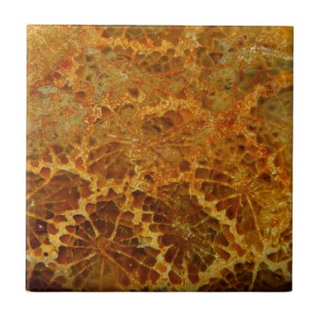 Fossilized Coral Natural Jasper Gemstone Tile by YANKAdesigns at Zazzle