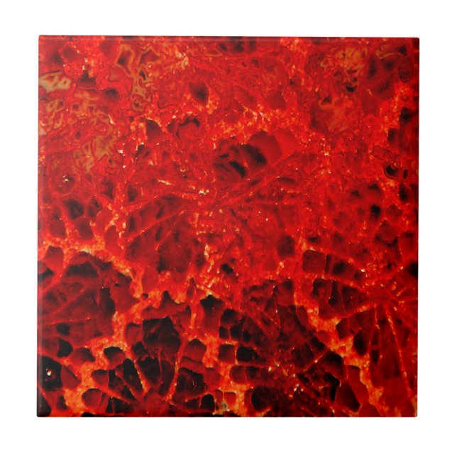 Fossilized coral red dyed stone ceramic tile (Front)