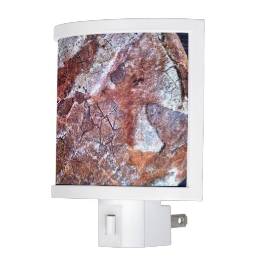 Fossilized Dinosaur Egg Night Light (Left)