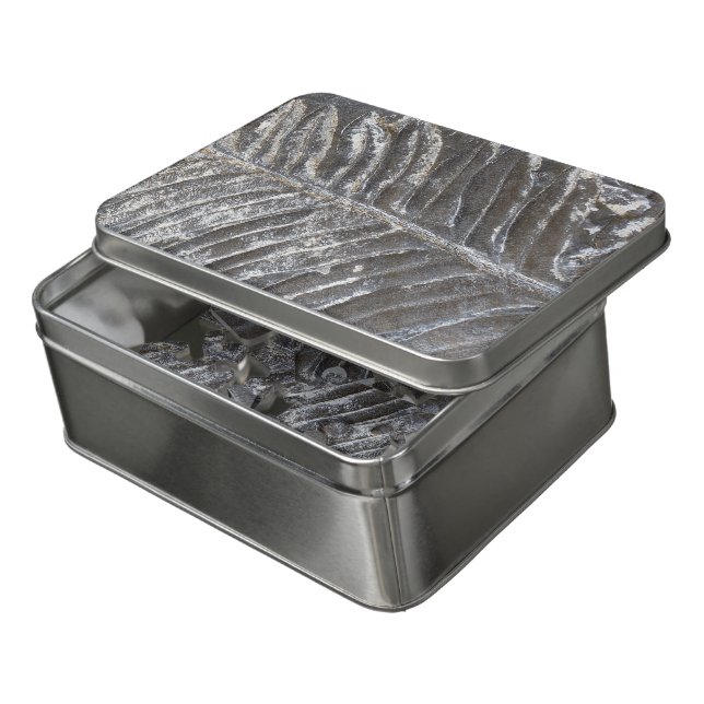 Fossilized Fern Leaves Rocks Nature Photography Jigsaw Puzzle (Lid Open)