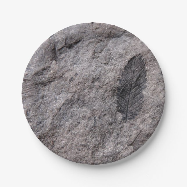 Fossilized Plant 350 Million Yr. Old Photo Print Paper Plates (Front)