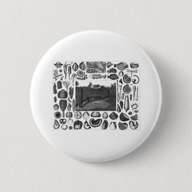 FOSSILS BUTTON (Front)