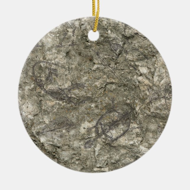 Fossils Ceramic Ornament (Front)