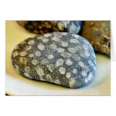 Fossils Rocks Coral (Front Horizontal)