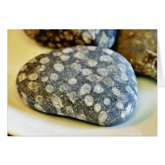 Fossils Rocks Coral Cards (Front Horizontal)