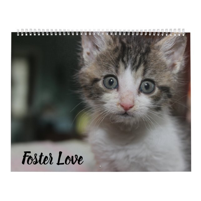 FOSTER LOVE CALENDAR (Cover)