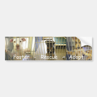 Foster - Rescue - Adopt Bumper Sticker1 Sticker