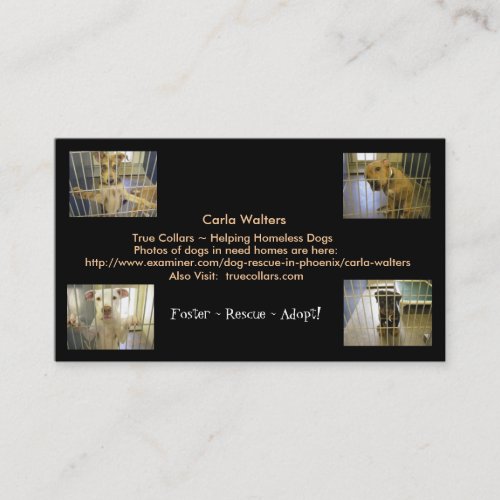 Foster ~ Rescue ~ Adopt Business Cards