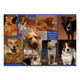 foster success stories2007 cards