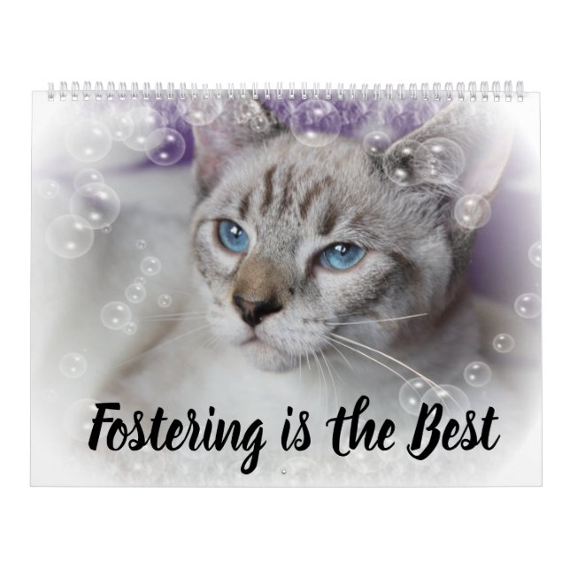 FOSTERING KITTENS IS THE BEST CALENDAR (Cover)