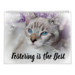 Fostering Kittens Is The Best Calendar at Zazzle