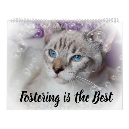 Fostering Kittens Is The Best Calendar