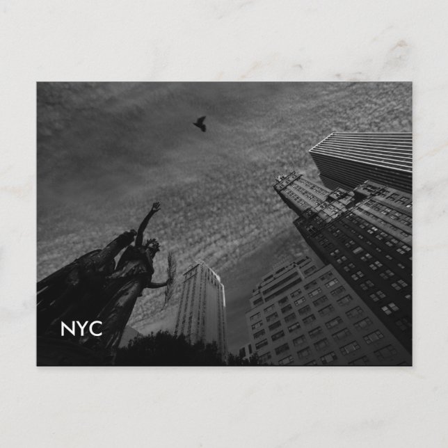 foto, NYC Postcard (Front)