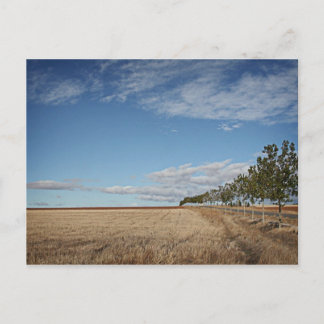 fotografias del Camino de santiago Postcard