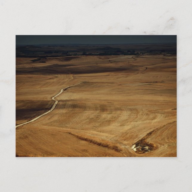 fotografias del Camino de santiago Postcard (Front)