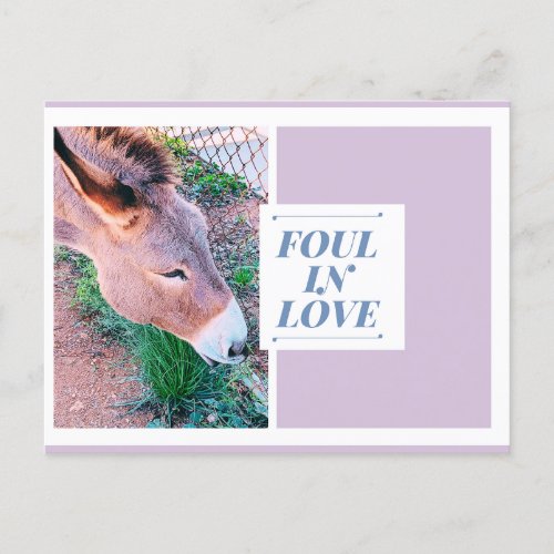 Foul in Love Postcard