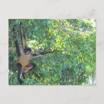 Found A New Place To Hang - Change Of Address  Pos Postcard by CatsEyeViewGifts at Zazzle