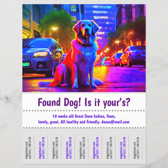Found Dog Graphic Design Poster  Flyer (Front)