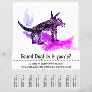 Found Dog Graphic Design Poster Flyer