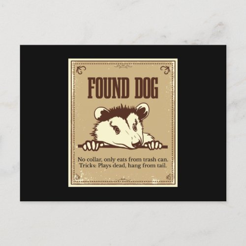 Found Dog Opossum Gopher Postcard
