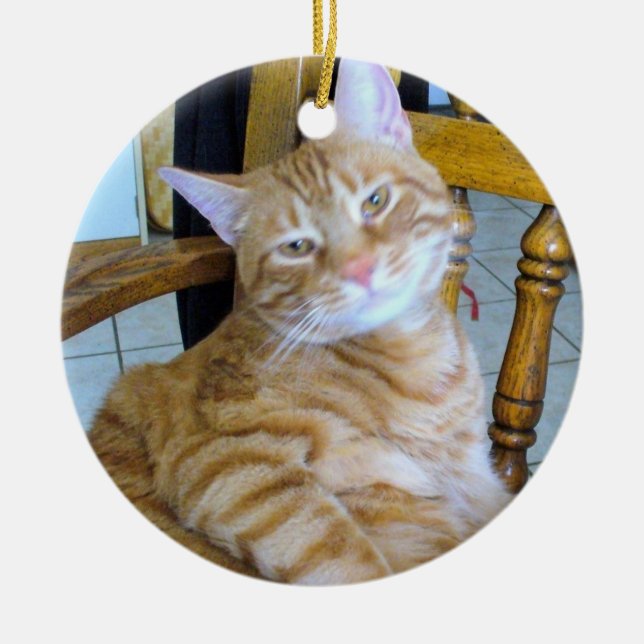 Found Feline Tabby Cat Happy Healthy Spoiled Ceramic Ornament (Front)