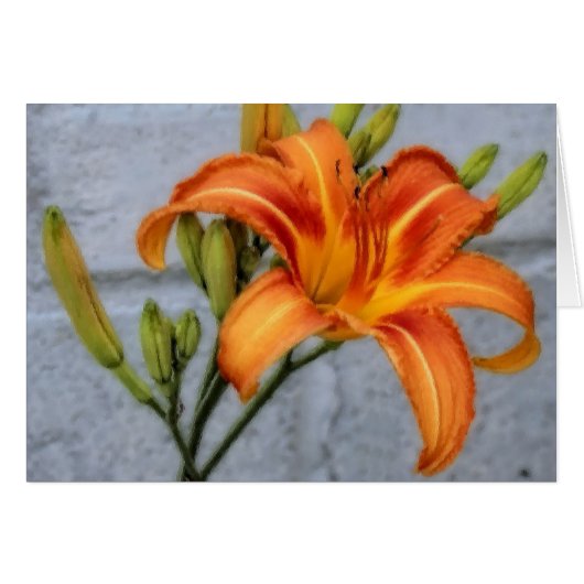 Foundation Lily Cards (Front Horizontal)