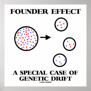 Founder Effect A Special Case Of Genetic Drift Poster